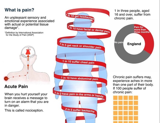Infographic "Visualizing Chronic Pain"