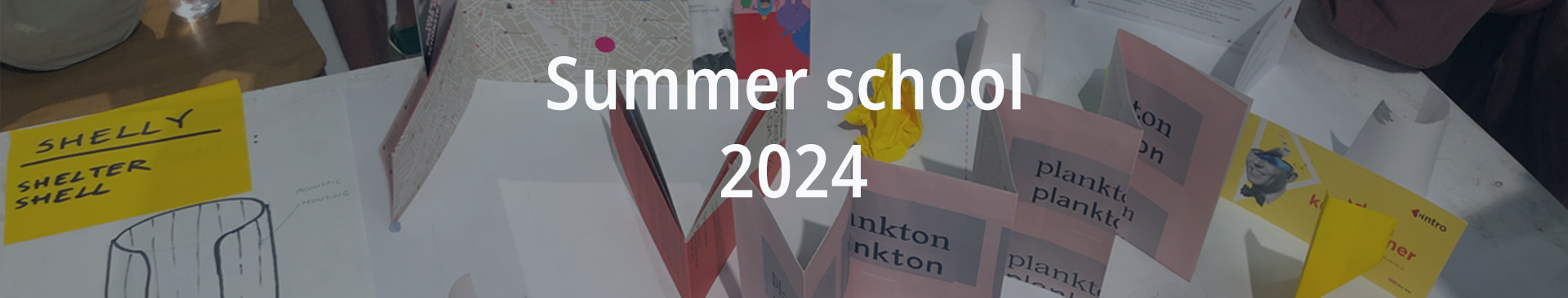 IIID Summer School 2024