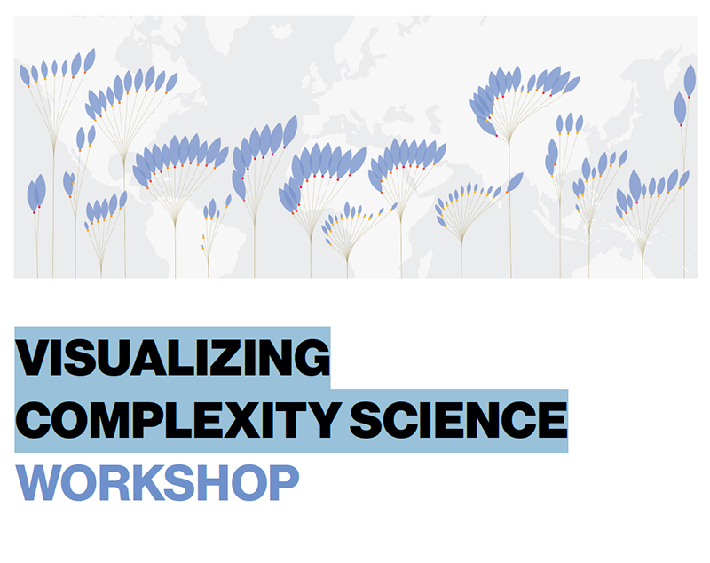 Workshop: Visualizing Complexity Science, Vienna, 26-30 August 2024